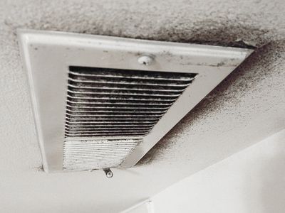 mold